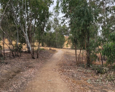 The Nature Lover's Guide to Otay Ranch | Côta Vera