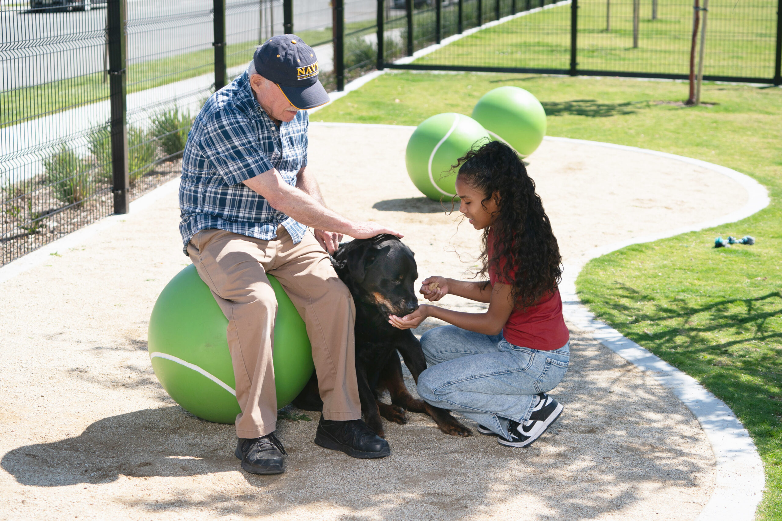 Bark Park Bark Park
