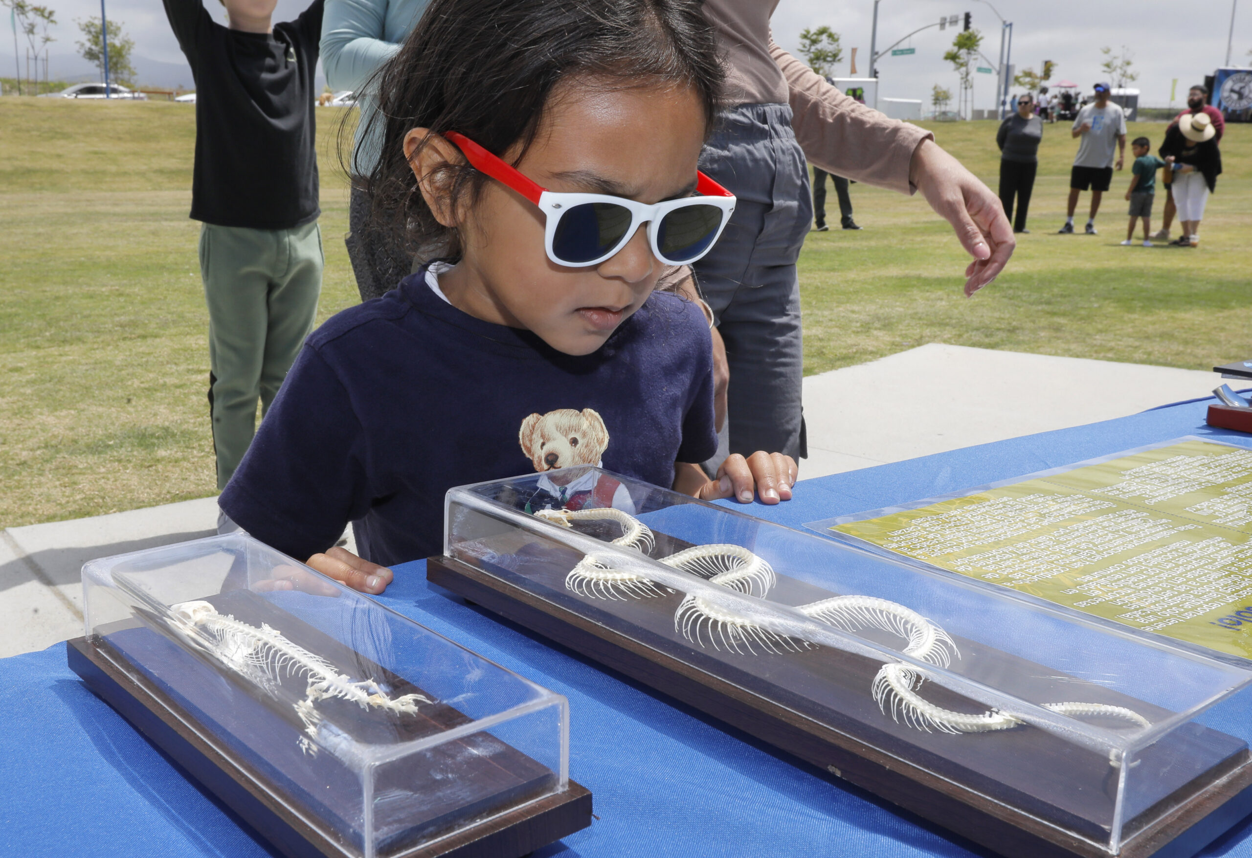 Reptiles.4.27.2024.CN.029 Community reptile education event at Côta Vera in Chula Vista kids program