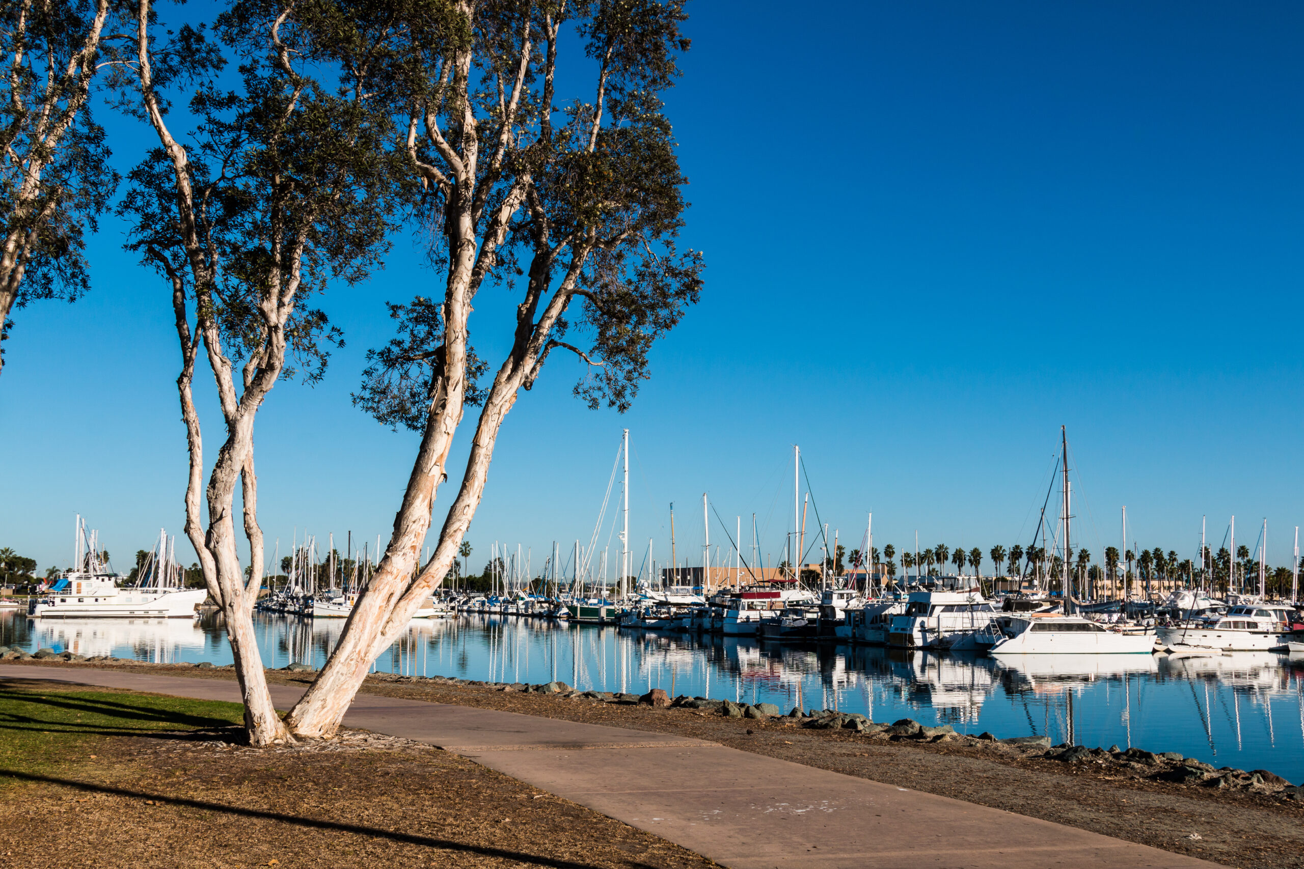 Pathway,Through,The,Chula,Vista,Bayfront,Park,With,Boats,Moored Chula Vista Harbor